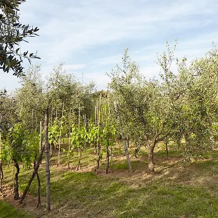 Podere La Casuccia Apartment *