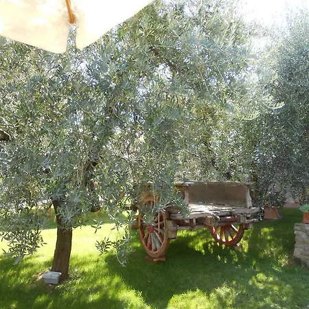 Podere La Casuccia Apartment *