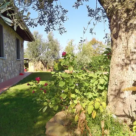 Apartment Podere La Casuccia *